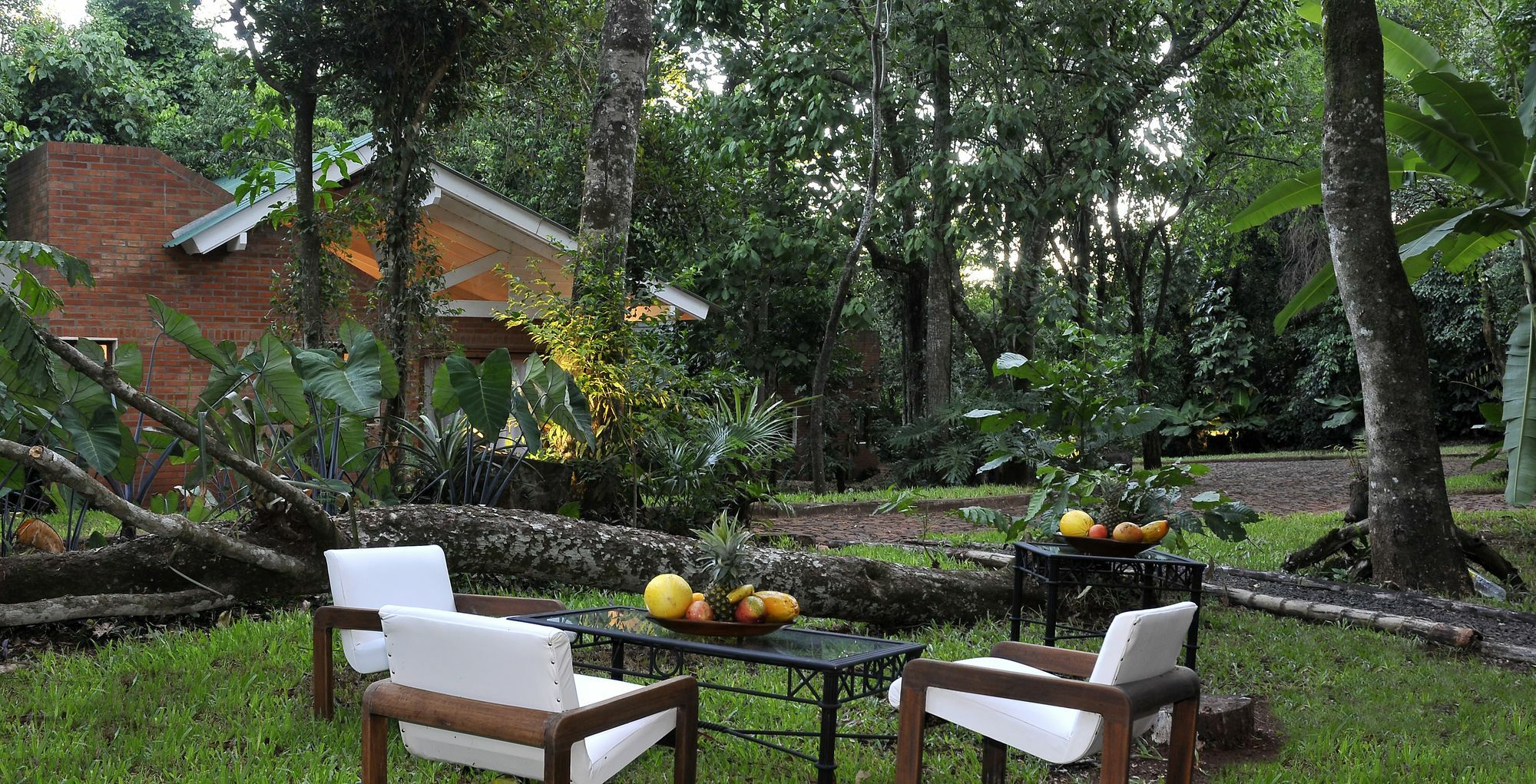 Raices Amambai Lodges プエルト・イグアス エクステリア 写真
